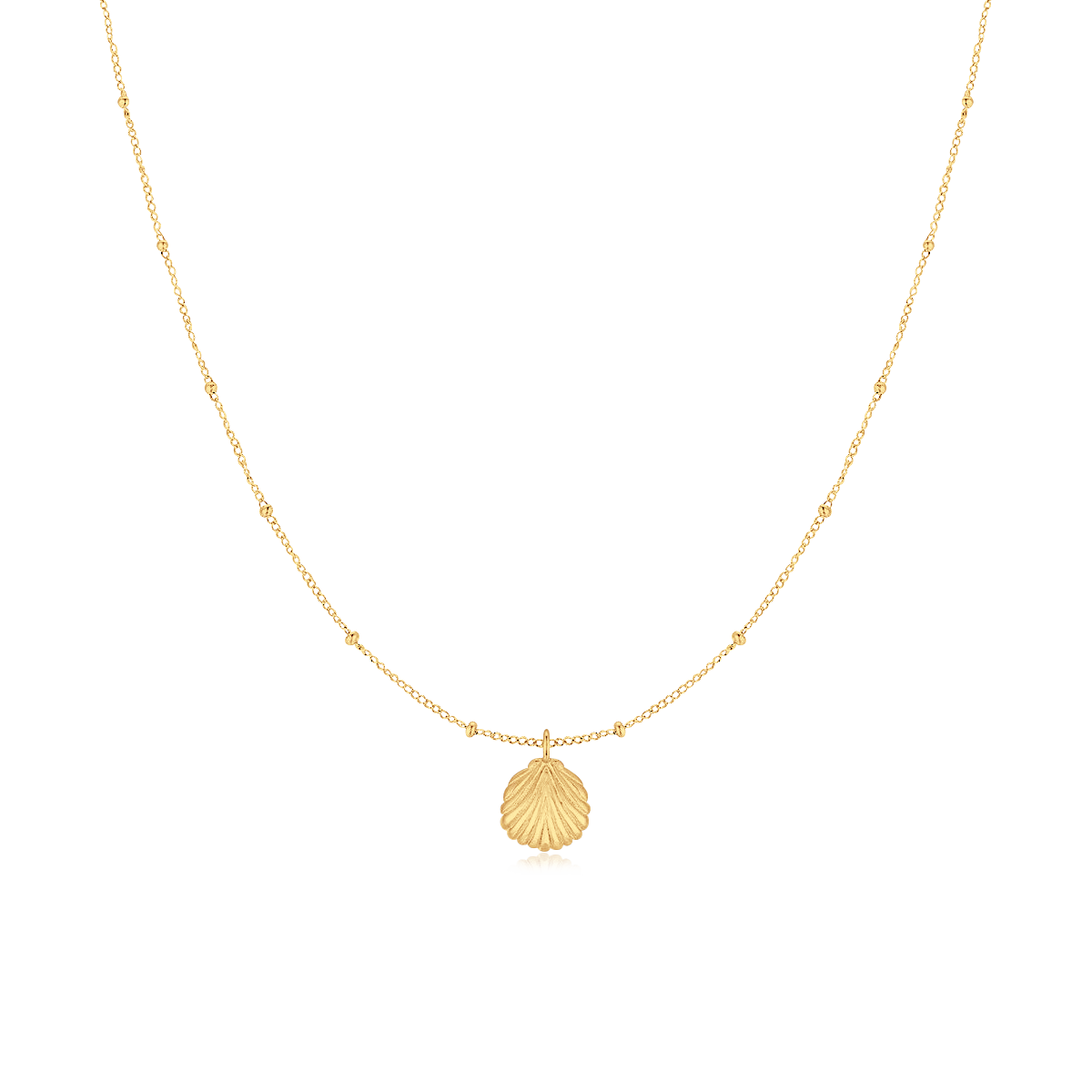 Collier Coquille Marine - LaMaisonDesBijoux