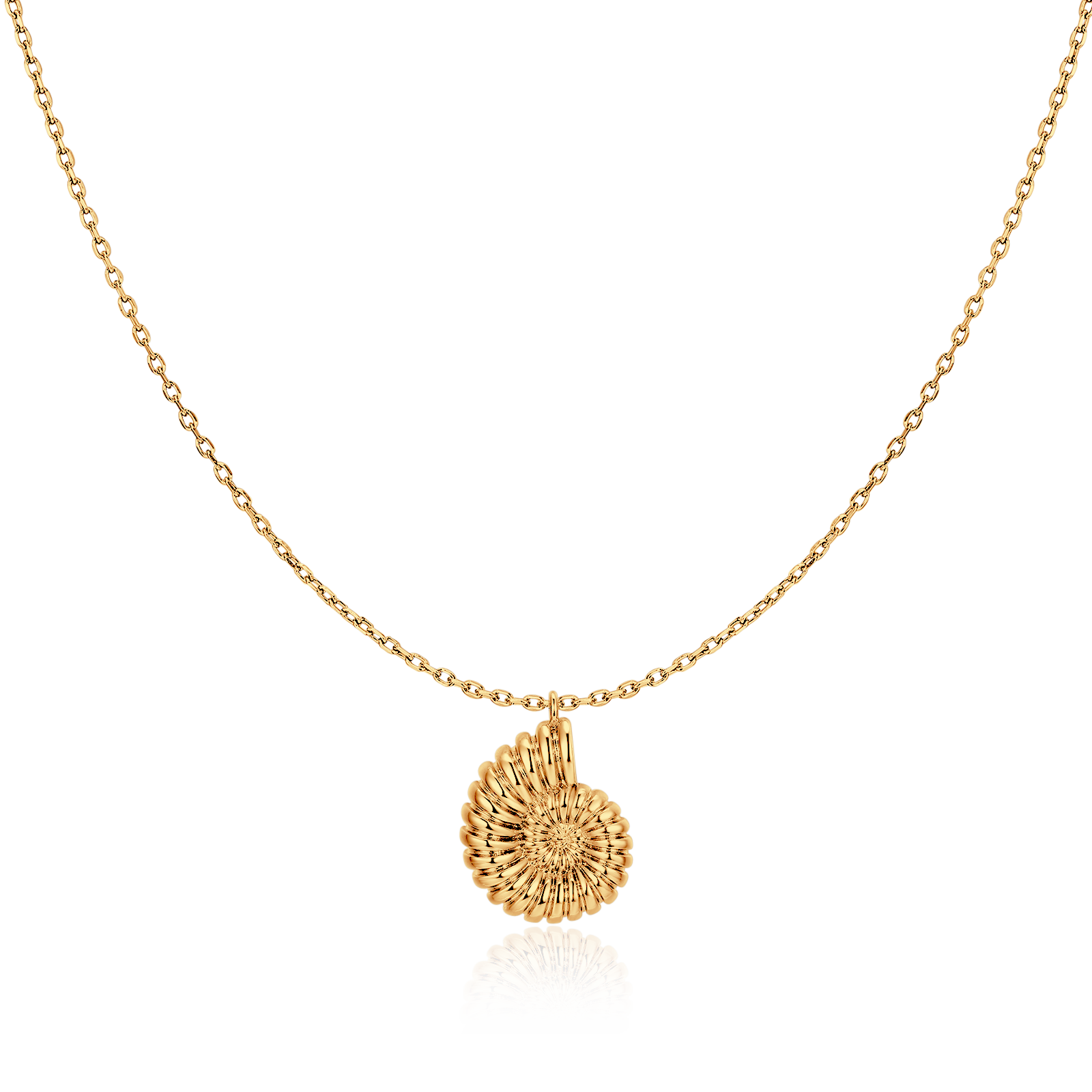 Collier Coquille de Nautile - LaMaisonDesBijoux