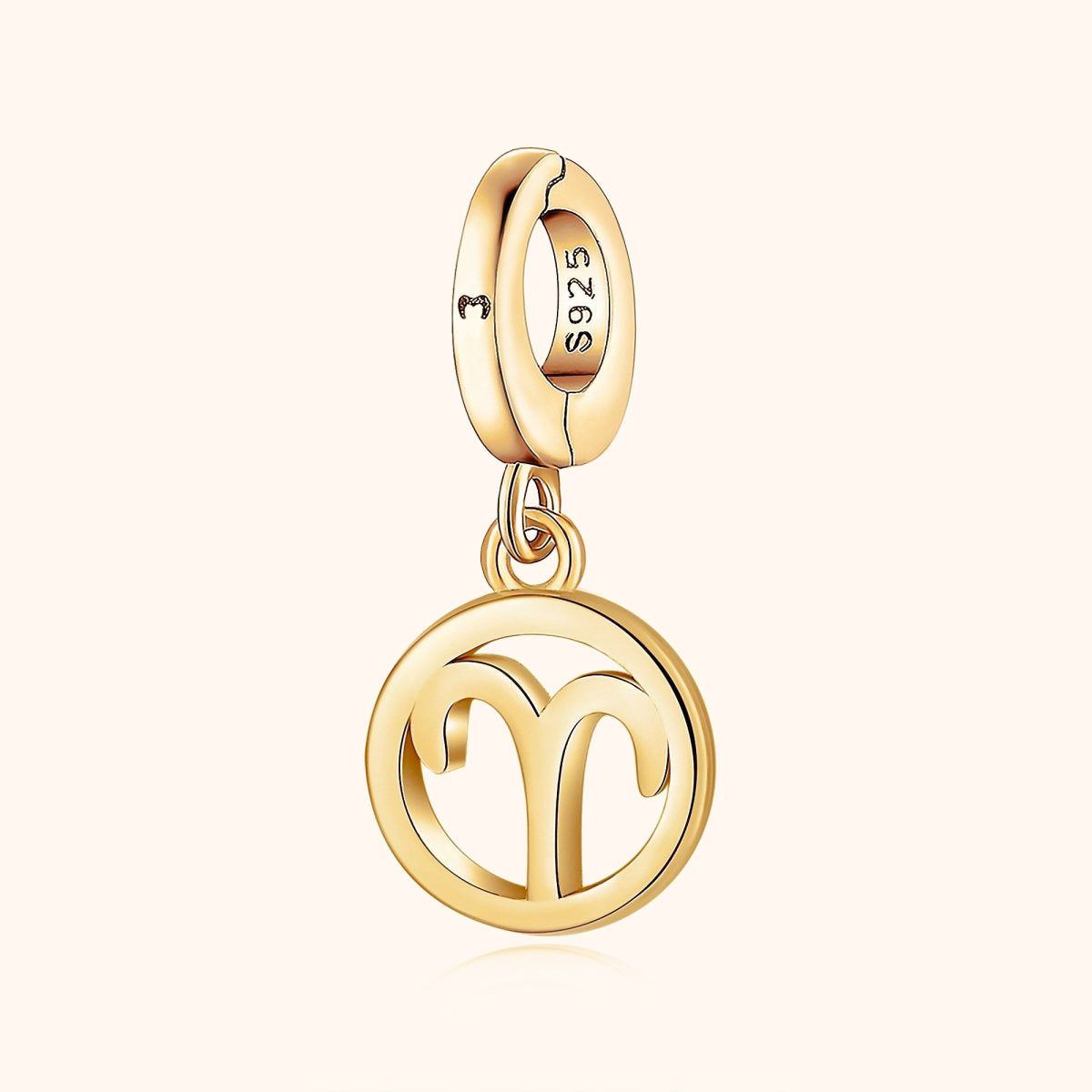 Charm Zodiac Circulaire - LaMaisonDesBijoux