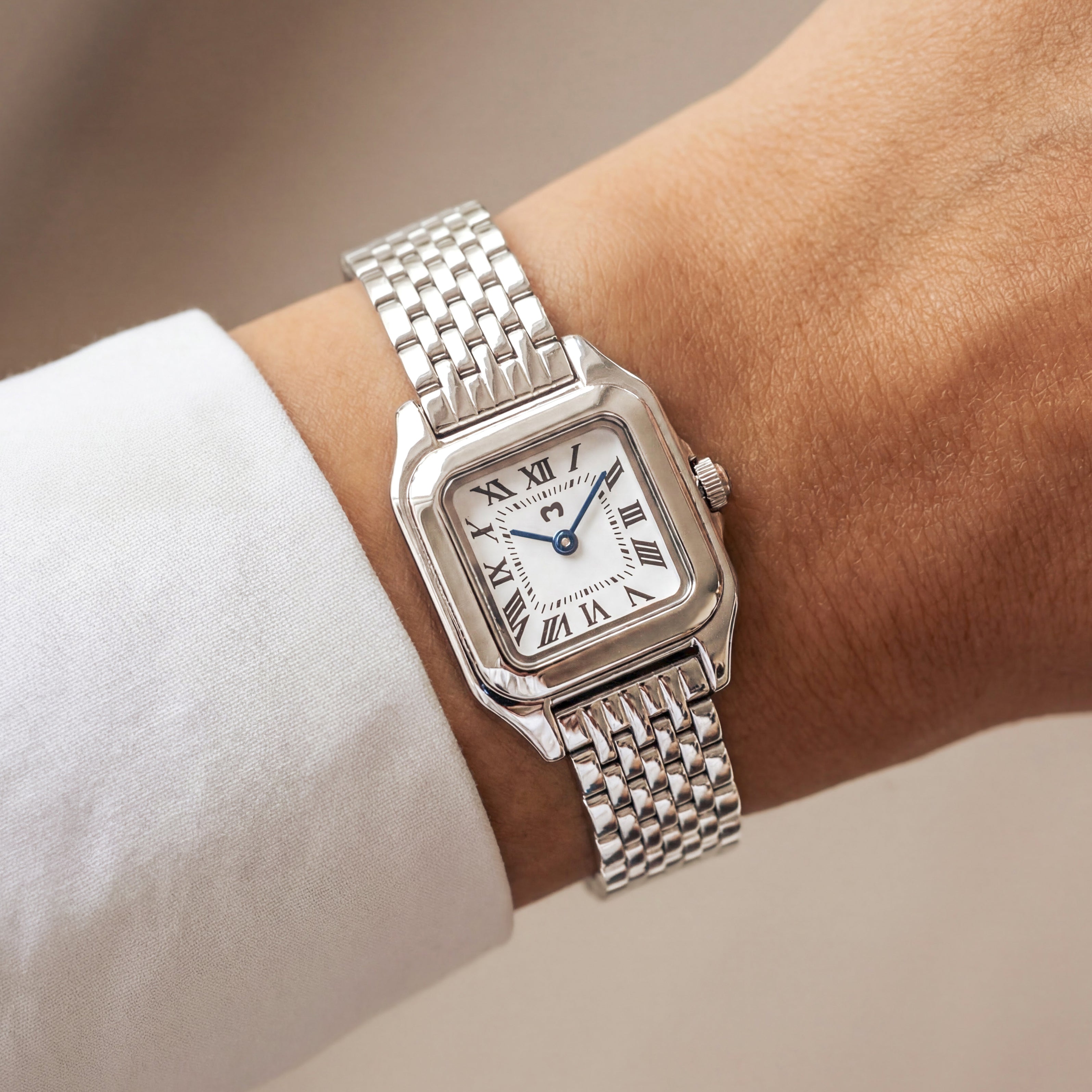 Montre Europe ~ Argent Blanc