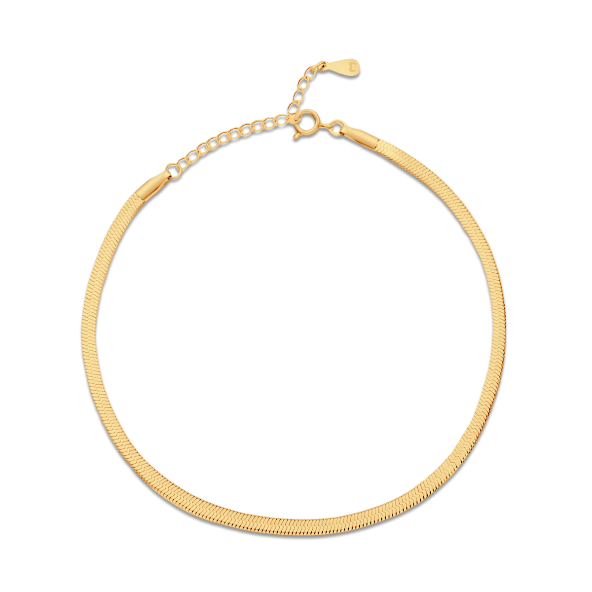 Bracelet de cheville Taylor 3MM - LaMaisonDesBijoux