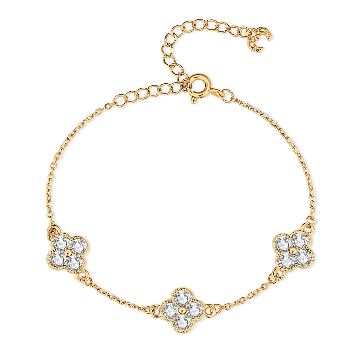 Armbandbaugruppen