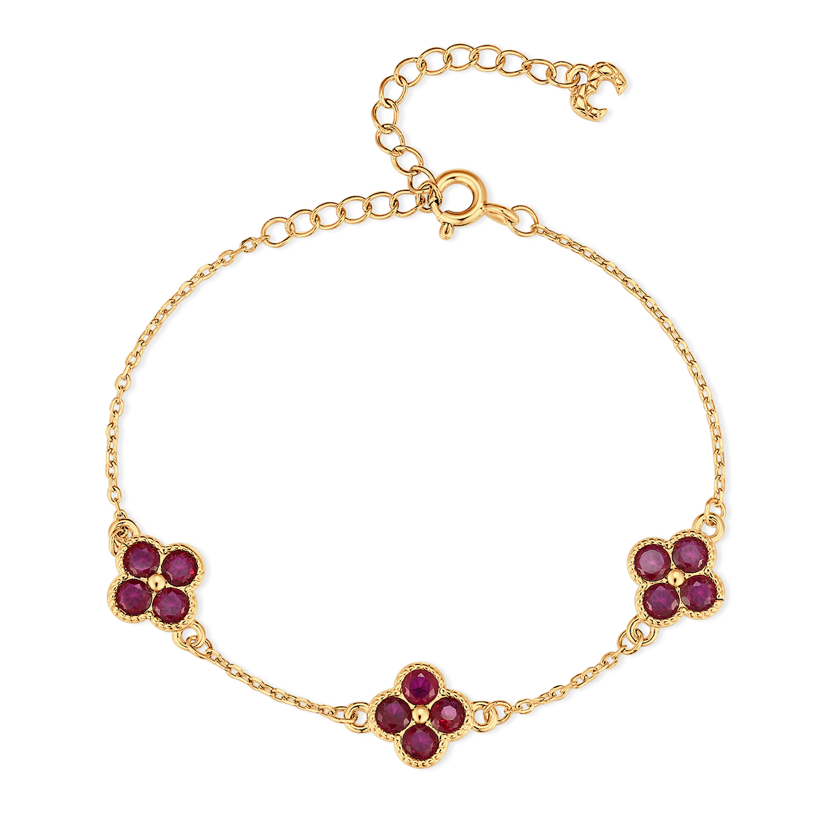 Armbandbaugruppen