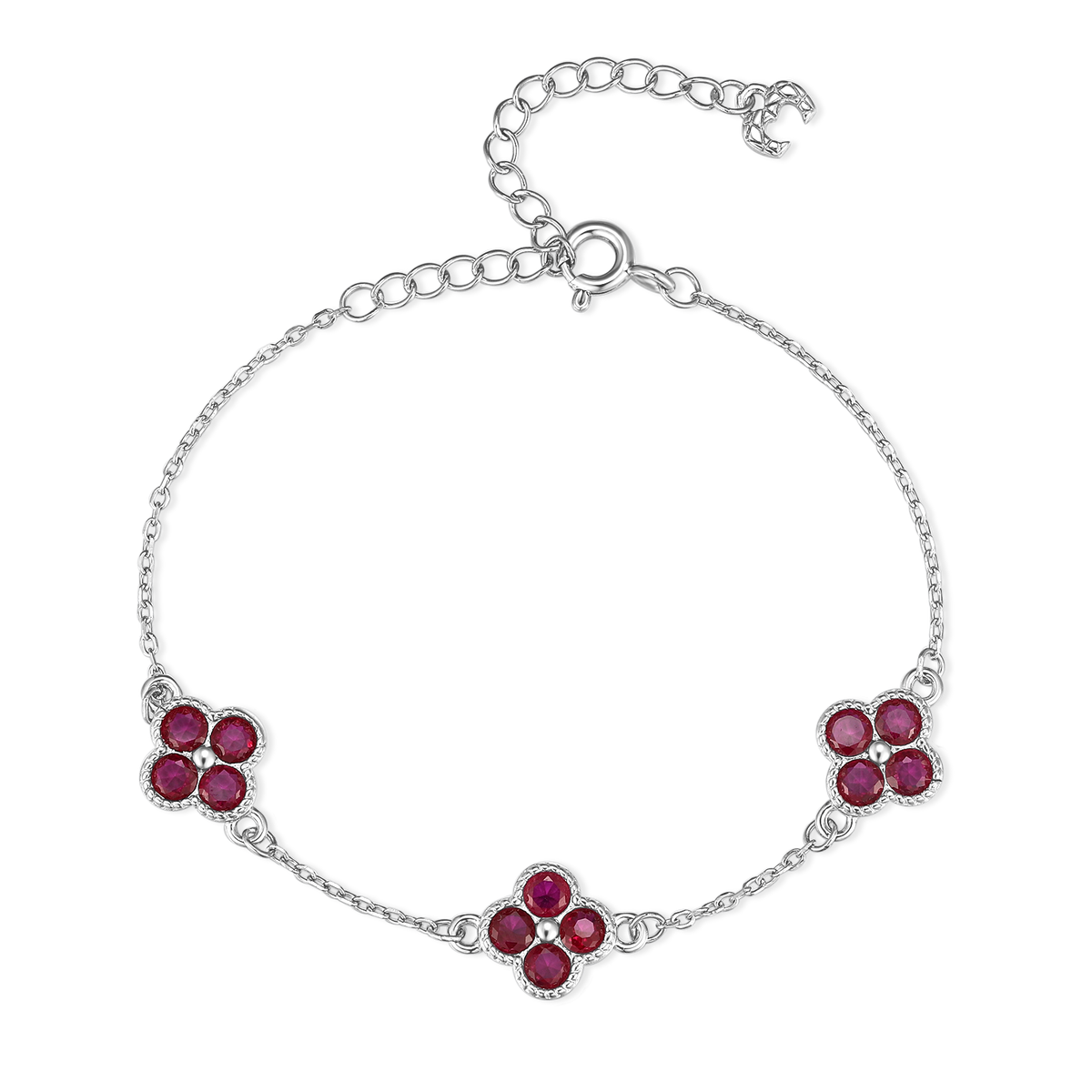 Armbandbaugruppen