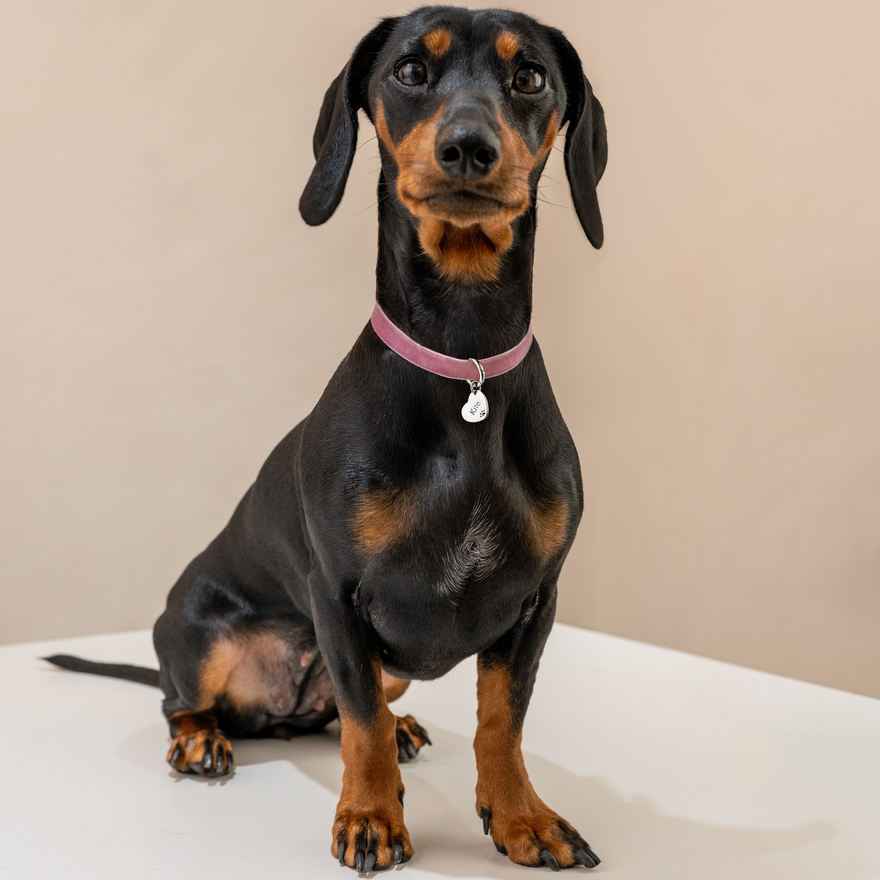 Collier Amour Mascotte - Personnalisé - LaMaisonDesBijoux