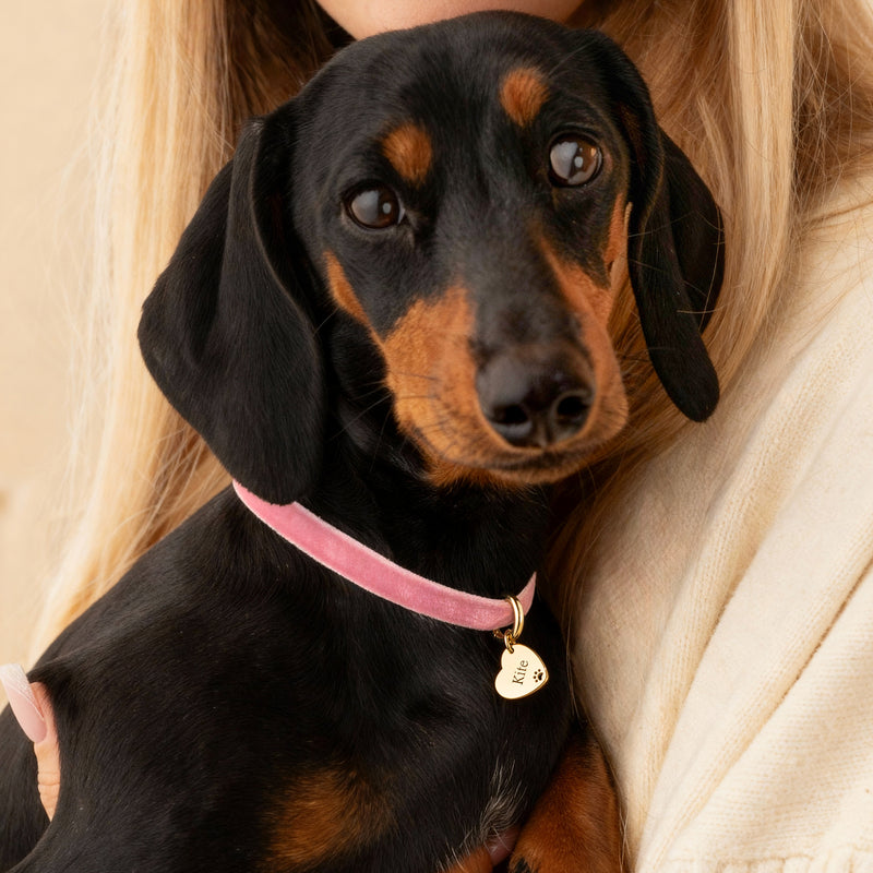 Collier Amour Mascotte - Personnalisé - LaMaisonDesBijoux
