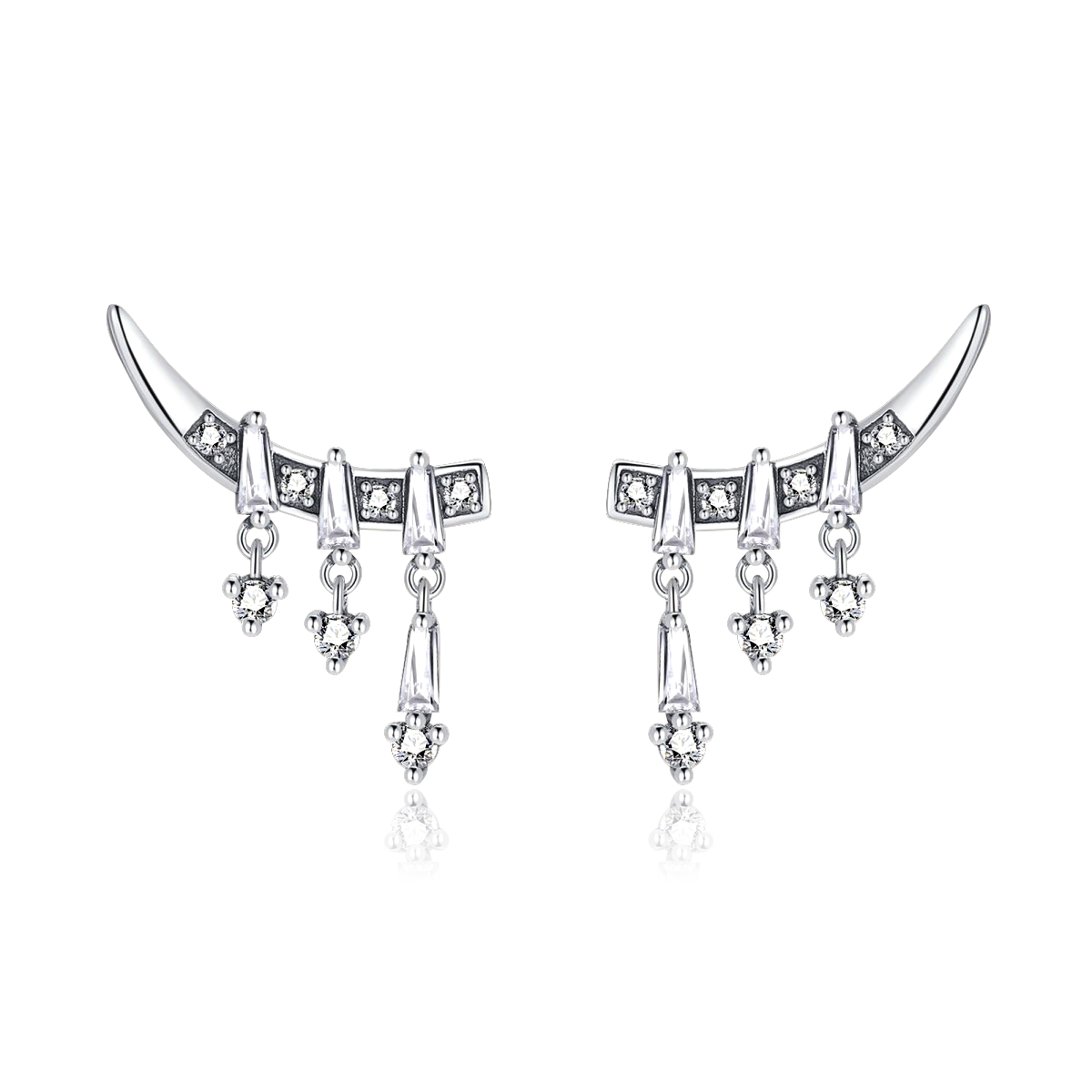 Boucles d'oreilles Canine
