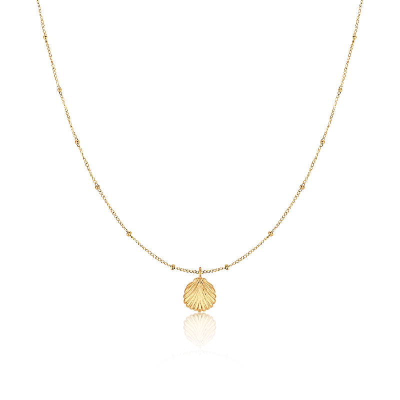 Collier Coquille Marine