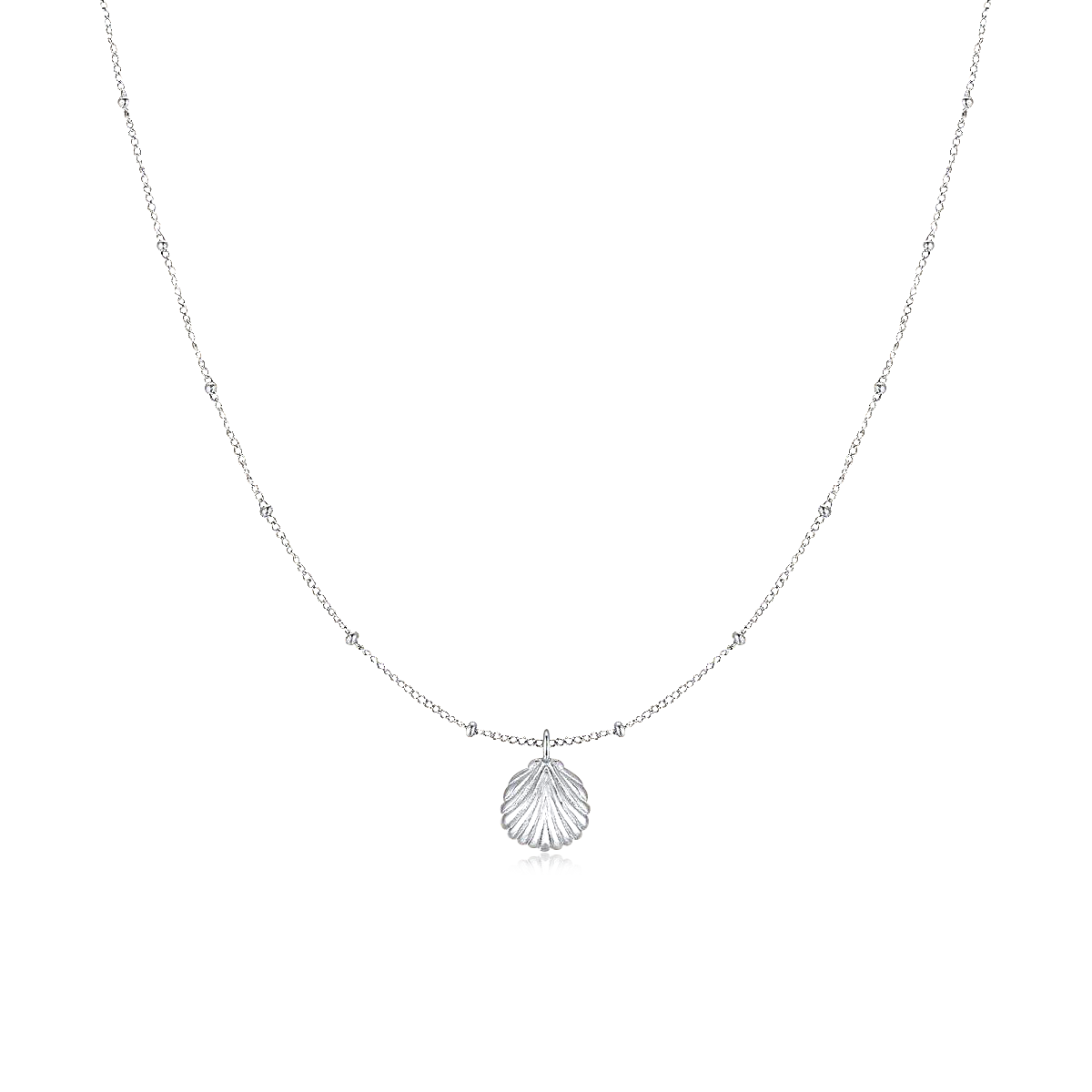Collier Coquille Marine - LaMaisonDesBijoux