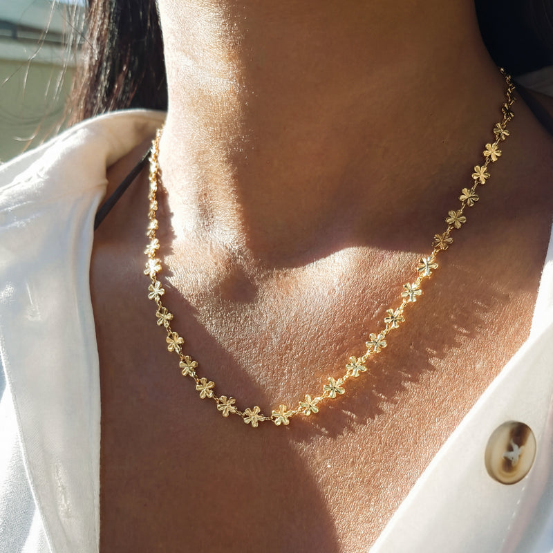 Collier Hawaii