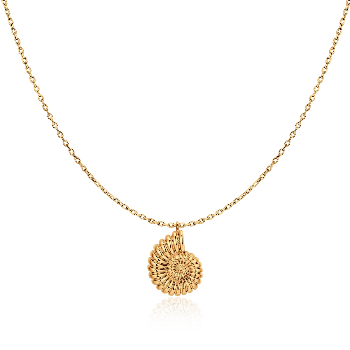 Collier Coquille de Nautile - LaMaisonDesBijoux