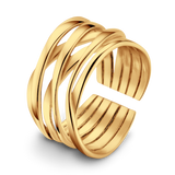 Zweigring