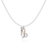 Collier "Signe du Zodiaque" - LaMaisonDesBijoux