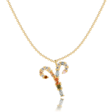 Collier "Signe du Zodiaque" - LaMaisonDesBijoux