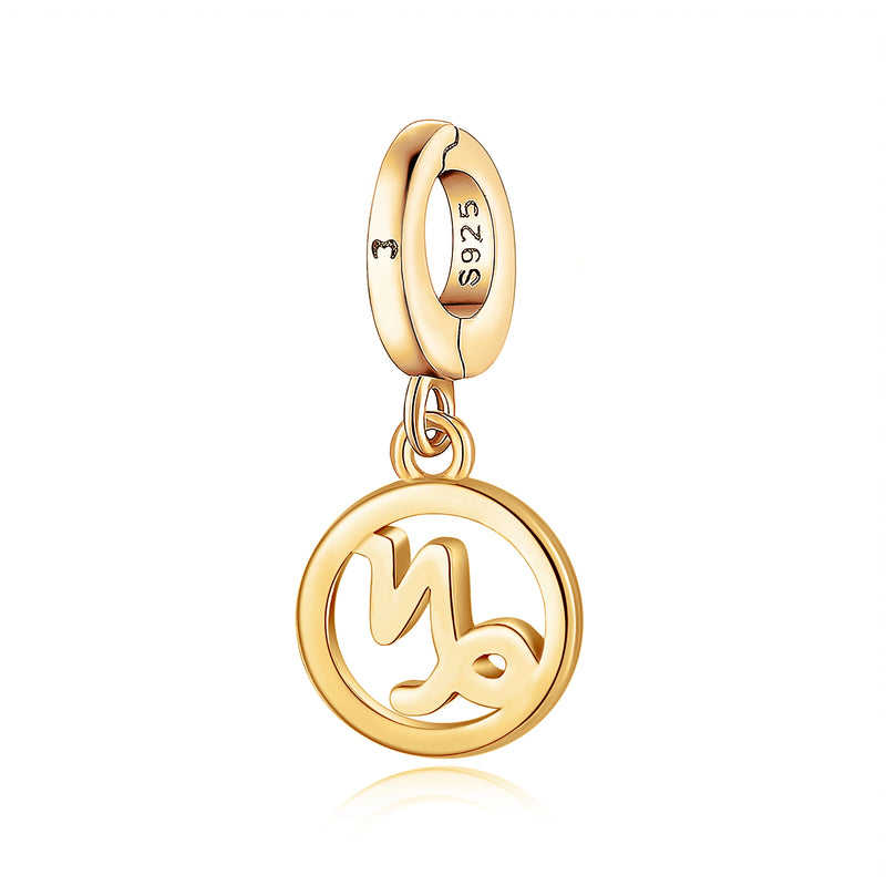 Charm "Signe du Zodiaque" - LaMaisonDesBijoux